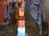 Bologna-Foto-TiDPress