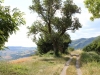 Wanderweg mit Aussicht, Agrotourismus Cà Basino