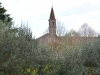 Lagune-Venedig-San-Francesco-Deserto-Paolo-Gianfelici(10)