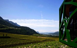 Kellerei Tramin Zum Vergrößern: Klick auf das Foto