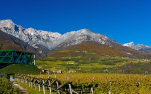 Kellerei Tramin Zum Vergrößern: Klick auf das Foto