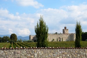 Franciacorta: Weingute und Schlösser Zum Vergrößern: Klick auf das Foto