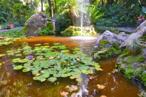 Die „Giardini La Mortella“ Zum Vergrößern: Klick auf das Foto