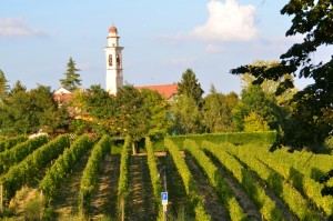 Gavi Monterotondo: Weinberge des Kellers der Villa Sparina (Drei Gläser)