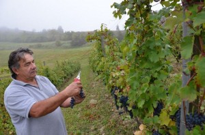 Weinbaugebiet-Colli-Tortonesi-Foto-Paolo-Gianfelici (15)