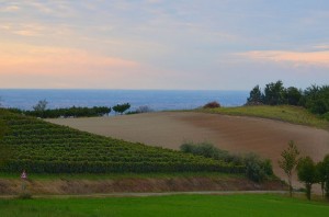 Weinbaugebiet-Colli-Tortonesi-Foto-Paolo-Gianfelici-copertina (17)
