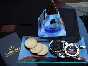 caviale-calvisiusFotoTidPress