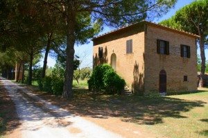  Marina di Grosseto: Agriturismo Querciasecca