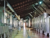 COLUTTA_15