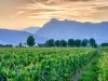 tenuta-fermanda-cappello-sequals-1