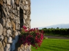 tenuta-fermanda-cappello-sequals-2
