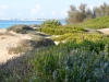 Apulien-Lido-Pizzo-Paolo-Gianfelici  (1)