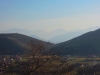 Foto-Elvira-Dippolti (3)