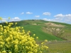 Provincia-Ascoli-Piceno-Foto-Paolo-Gianfelici (2)