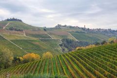 Alba-Barbaresco-Foto-Paolo-Gianfelici-6