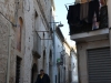 Bovino-Paolo-Gianfelici (4)