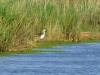 castiglione-pescaia-foto-tidpress-9