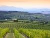 Consorzio-Chianti-Classico (3)