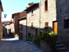 Cortona-TiDPress (9)