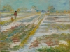 guggenheim-land-01