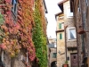 dolceacqua-foto-paolo-gianfelici-16