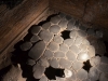 Roma-Domus-Romanae-Foto-E-Dippoliti (14)