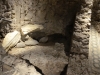 Roma-Domus-Romanae-Foto-E-Dippoliti (6)