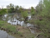 Venetien-Fluss-Sile-Paolo-Gianfelici (32)