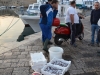 Gallipoli-Foto-Terra-Italia (17)
