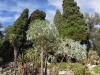 giardini-hanbury-foto-paolo-gianfelici-27