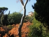 giardini-hanbury-foto-paolo-gianfelici-29