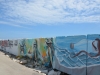 riviera-delle-palme-29
