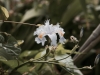 Insel-Procida-Garten-Foto-Valerio-Magini (16)