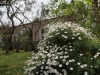 Insel-Procida-Garten-Foto-Valerio-Magini (3)
