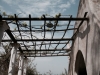 Insel-Procida-Garten-Foto-Valerio-Magini (9)