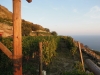 Ischia-Keller-Dambra-Paolo-Gianfelici (15)