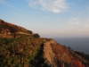 Ischia-Keller-Dambra-Paolo-Gianfelici (18)