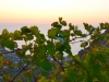 Ischia-Keller-Dambra-Paolo-Gianfelici (5)