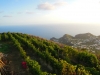 Ischia-Keller-Dambra-Paolo-Gianfelici (6)