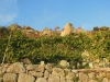 Ischia-Keller-Dambra-Paolo-Gianfelici (9)
