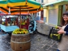 Ischia-Foto-Paolo-Gianfelici (1)