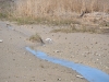 Friaul-Lignano-Paolo-Gianfelici (2)