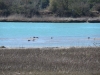 Friaul-Lignano-Paolo-Gianfelici (3)