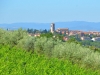 Lungarotti-Weine-Umbrien-Paolo-Gianfelici (1)