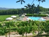 Lungarotti-Weine-Umbrien-Paolo-Gianfelici (3)