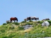 matera-terra-italia-foto-elvira-dippoliti25