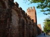 Montagnana-Foto-Paolo-Gianfelici (12)