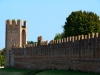 Montagnana-Foto-Paolo-Gianfelici (4)