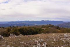 Campaegli-Brunella-Marcelli-3