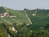 Diano-d-Alba-Weingut-Bricco-Maiolica (2)